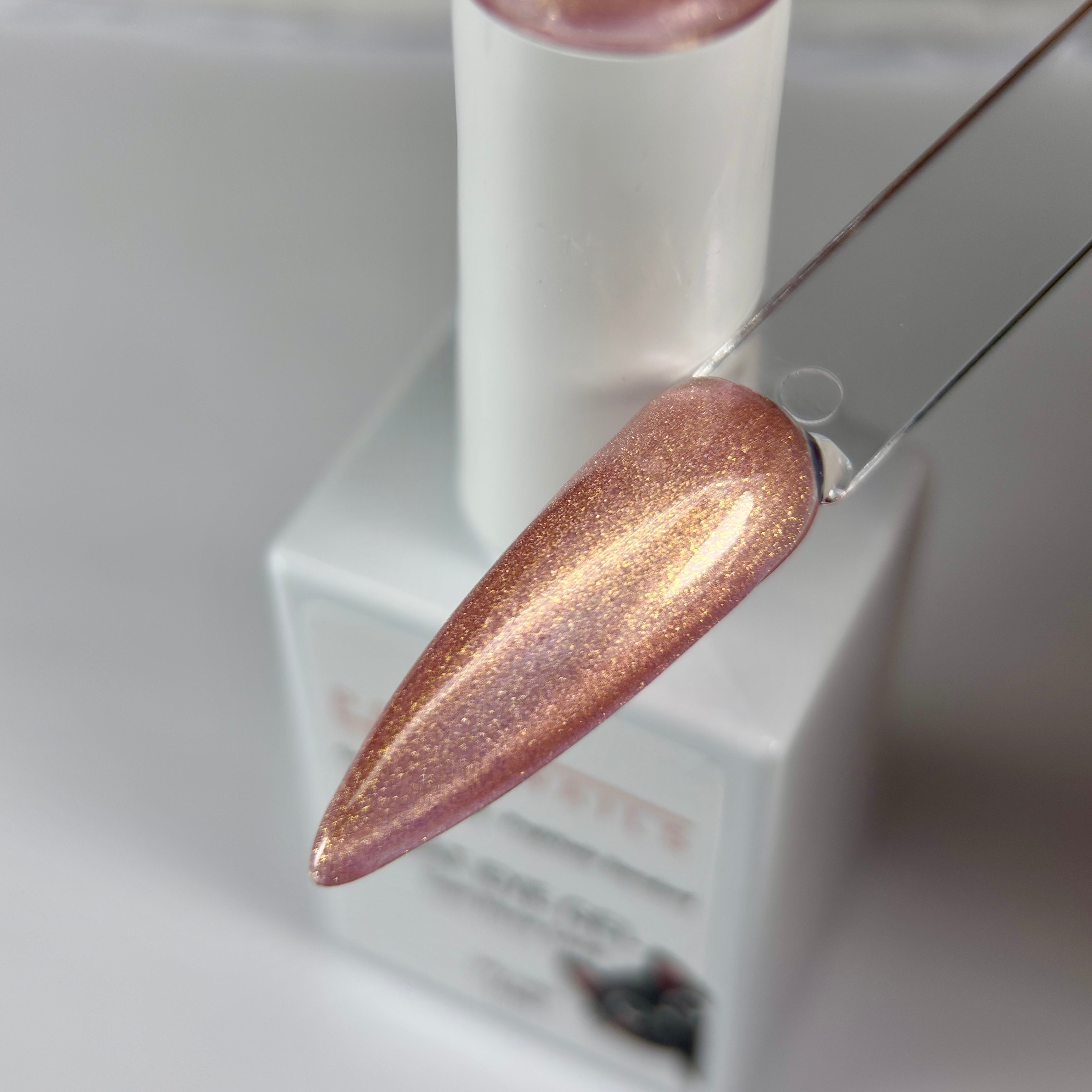 CAT eye Frühlings Collection