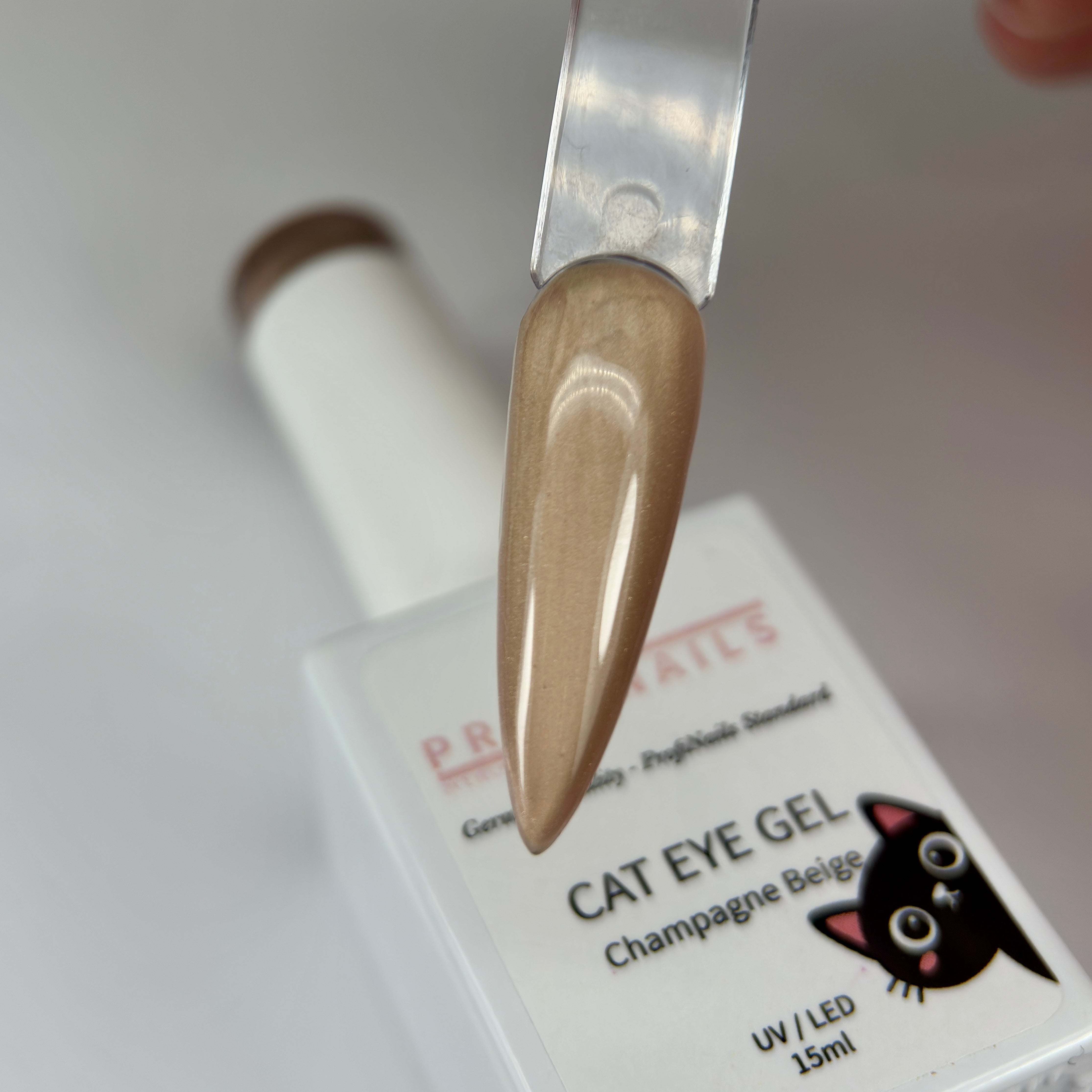 CAT eye Frühlings Collection