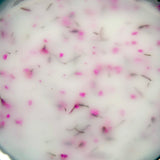 Milky Flower Builder Gel