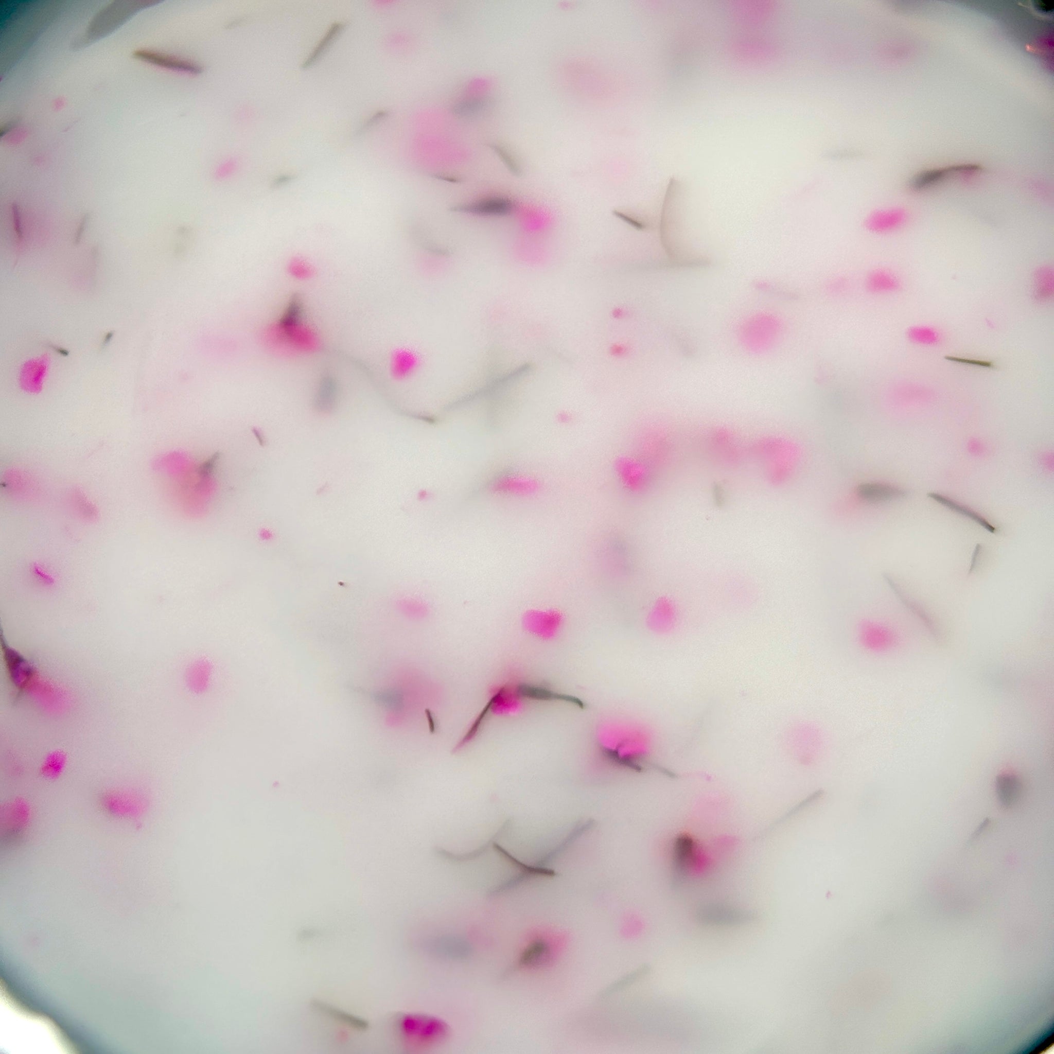 Milky Flower Builder Gel