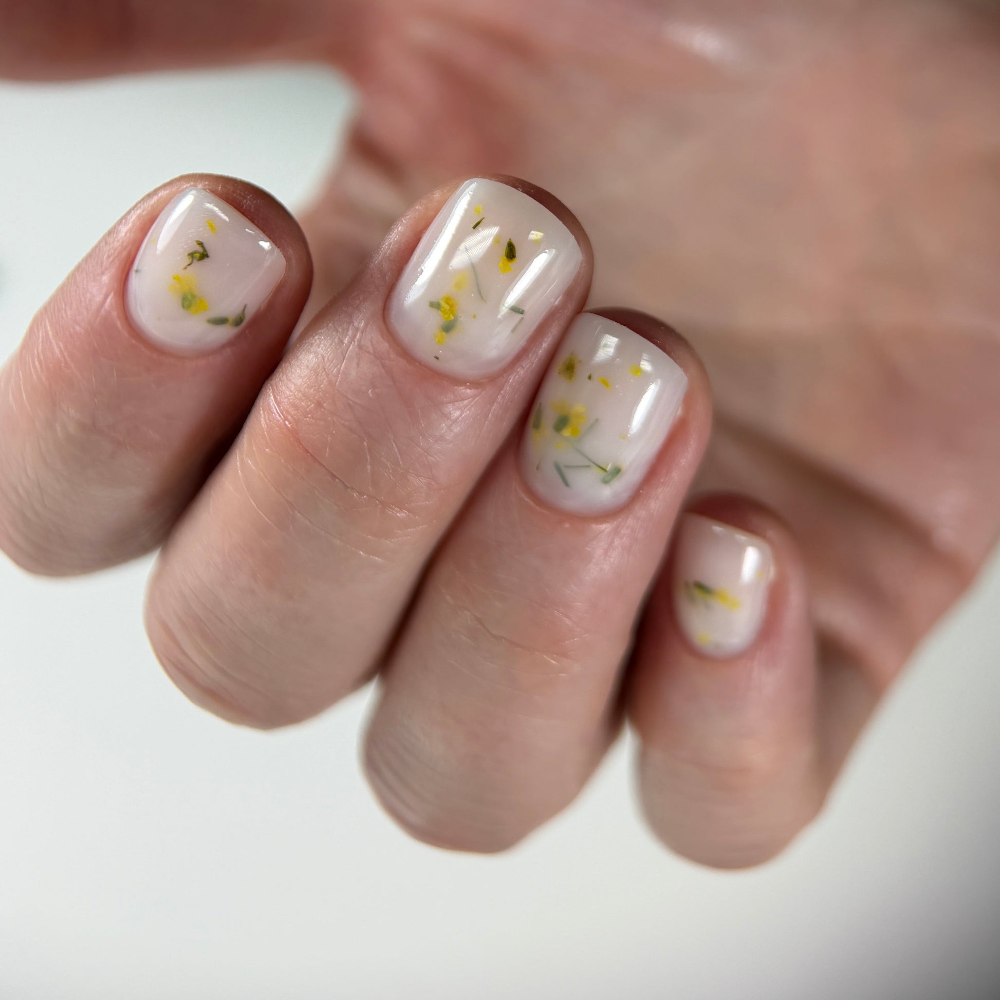 Milky Flower Builder Gel ProfiNails