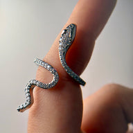 Verstellbarer Ring