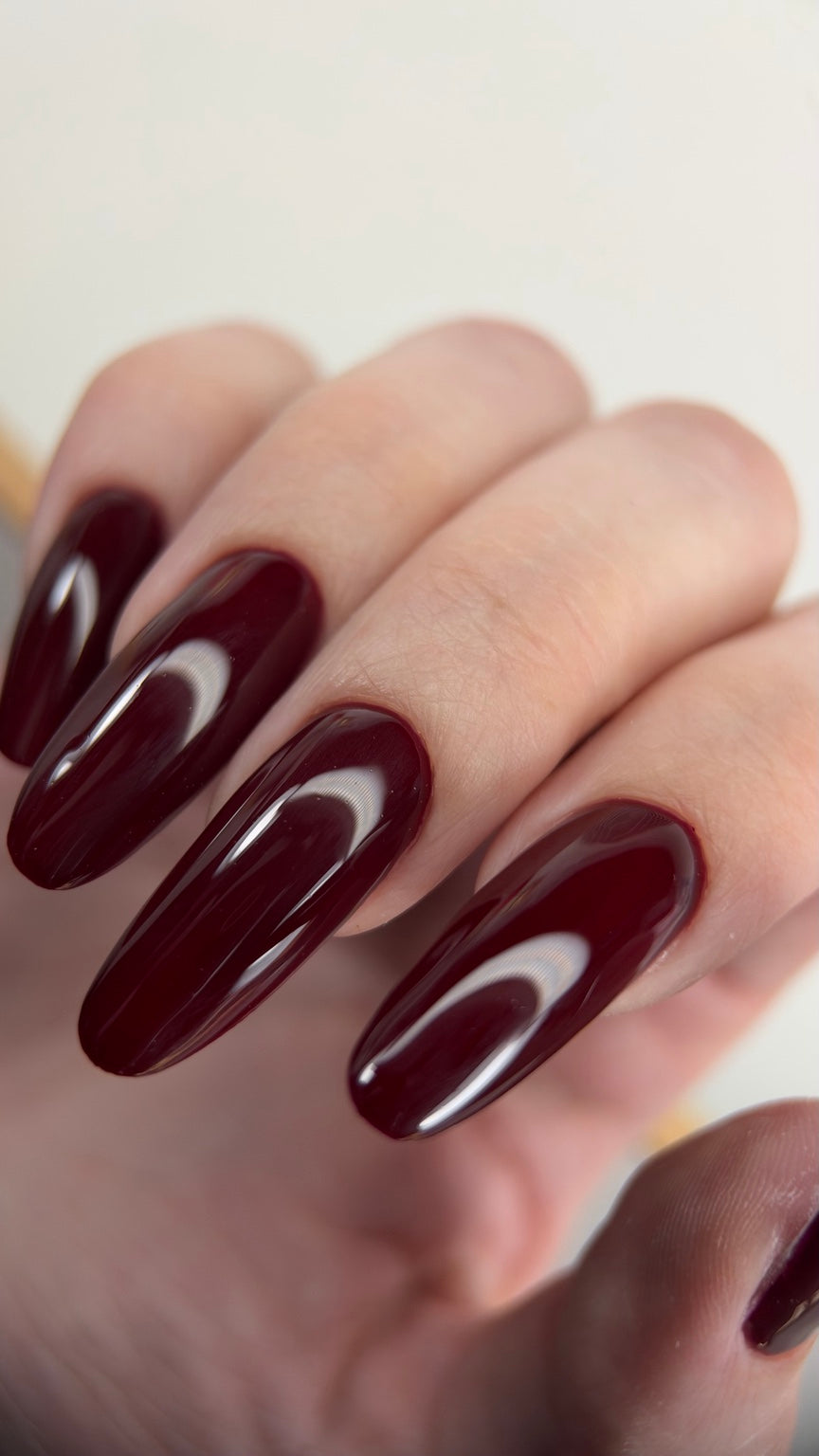 ProfiNails Hausmesse Hannover am 28.11.2026